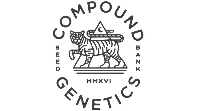 Dulce Dreams Feminizada - Compound Genetics