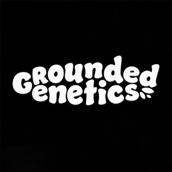 PACK 2 + 2 (BRINDE) - Grounded Genetics
