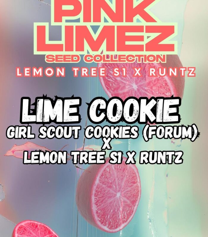 LIME COOKIE - Grounded Genetics