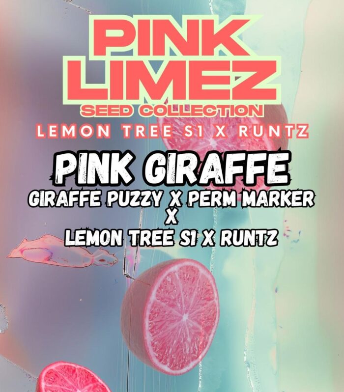 PINK GIRAFFE - Grounded Genetics