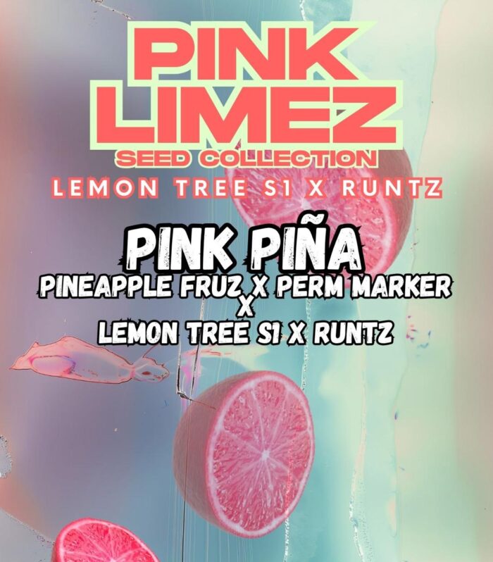 PINK PIÑA - Grounded Genetics