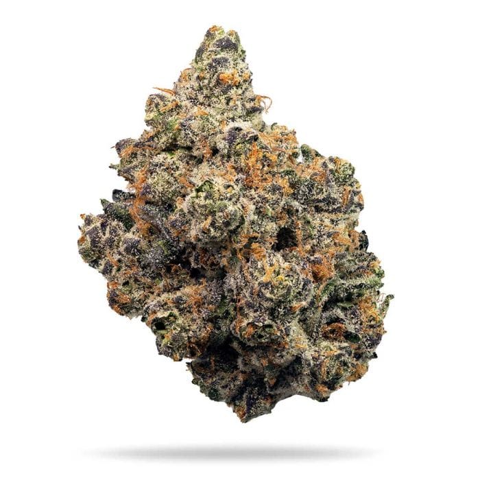 Frosted Fujis Feminizada - Compound Genetics