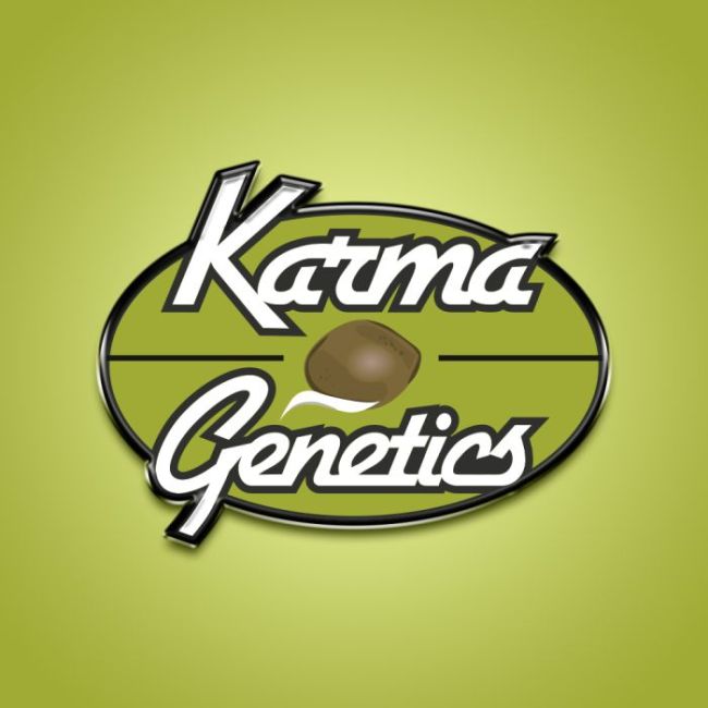 Zowahh Papayaz (BRINDE) - Karma Genetics