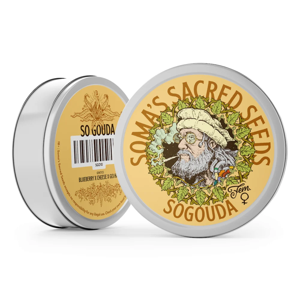 Sementes feminizadas Sogouda – Soma's Seeds