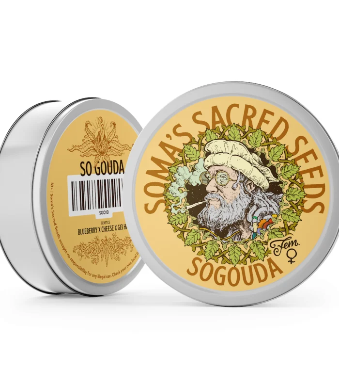 Sogouda – Soma's Seeds